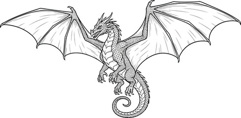 Dragon mythical creature fantasy wings scales drawing illustration beast