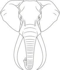 Elephant animal wildlife mammal africa safari nature zoo trunk tusks big