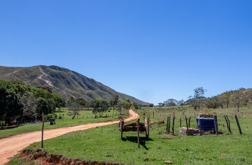 Serra da Canastra, Minas Gerais, Brazil.