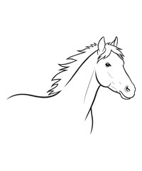 Elegant Horse Head Line Art Illustration on White Background.