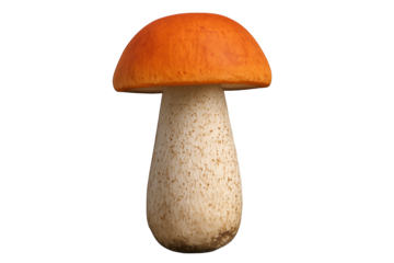 Single orange-capped mushroom with speckled pale stem sits on transparent background simple, natural, minimalist presentation