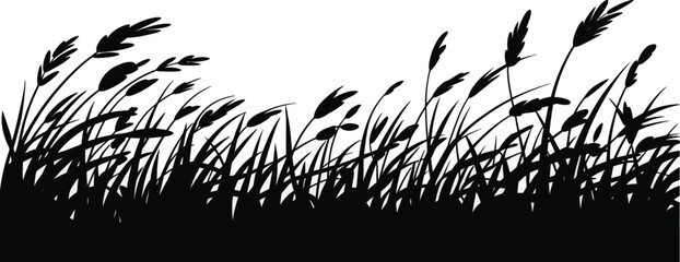 Silhouette of tall wild grass swaying gently in the wind against a clean background