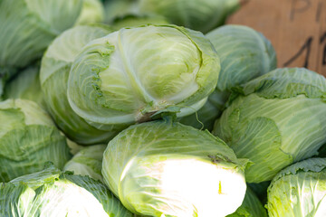 Fototapeta premium Fresh green cabbages stacked in sunlight at a farmers’ market; gentle highlights and selective focus convey fresh produce quality and an organic fruits lifestyle.