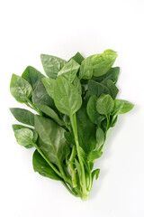 Basella alba - leaf vegetable on white background