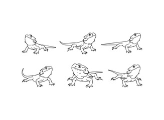 Six Bearded Dragon Line Art Illustrations Set