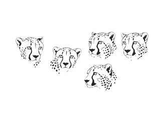 Stylized Cheetah Heads Vector Illustration Set