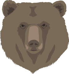 A detailed vector illustration of bear head, perfect for wildlife art, educational designs, mascot branding, or creative decoration in digital projects.
