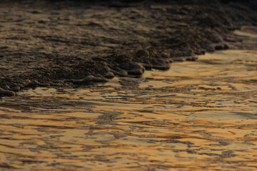 Serra Grande Bahia Authentic Tropical Landscapes Sea Coconut Trees Blue,Authentic landscape photography from Bahia, Brazil featuring the tropical beauty of Itacaré beaches with deep blue ocean