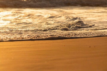 Serra Grande Bahia Authentic Tropical Landscapes Sea Coconut Trees Blue,Authentic landscape photography from Bahia, Brazil featuring the tropical beauty of Itacaré beaches with deep blue ocean