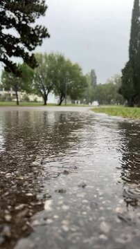 Rainwater pooling on pavement with trees in background, camera pans across scene