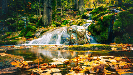 Autumn forest stream with fallen leaves reflecting sunlight and moss-covered rocks in calm natural setting