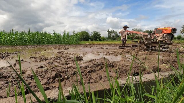 Central Java, Indobesia, October 15th 2025: farmer working on rice field with tractor in the morning. Location in Java, Indonesia, South East Asia.