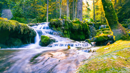 Flowing water through moss-covered stones in forest surrounded by golden autumn foliage and sunlight