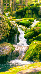 Close view of small cascading waterfall surrounded by moss and golden autumn colors in forest