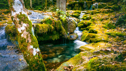 Clear forest stream surrounded by mossy rocks and trees with autumn colors in calm natural setting