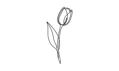 Elegant Minimalist Tulip Flower One Line Drawing on White Background