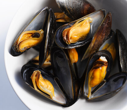 Miesmuscheln,food,niemand,studio,closeup,Mytilidae