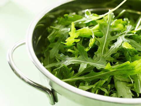 rucola, food,raw,green,closeup