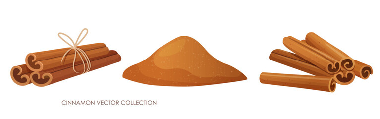 Vector illustration of cinnamon sticks and powder isolated on a white background. Aromatic spice, natural ingredient.