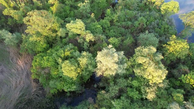 Delta Floresti and Somes river, a river, delta, lake, and wetland area. Natural environment near the Cluj-Napoca city