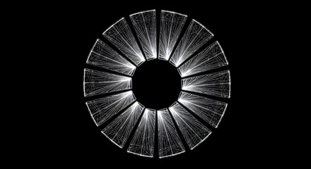Abstract geometric radial pattern resembling an eye or iris in black and white
