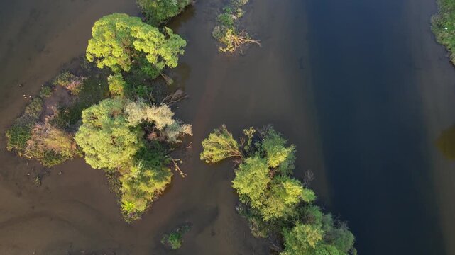 Delta Floresti and Somes river, a river, delta, lake, and wetland area. Natural environment near the Cluj-Napoca city