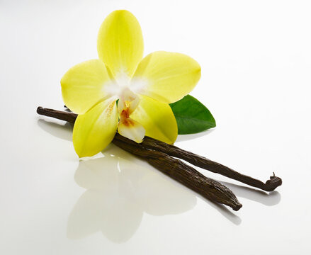 Vanille, Stangen, Blüte, weiss, isoliert