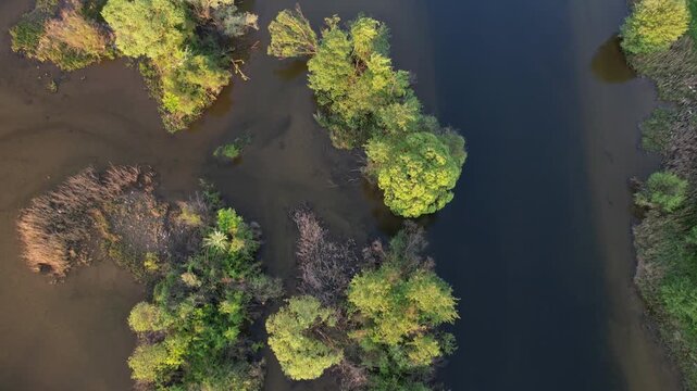 Delta Floresti and Somes river, a river, delta, lake, and wetland area. Natural environment near the Cluj-Napoca city