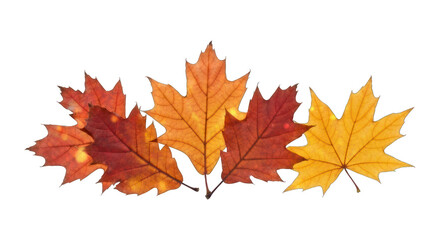 Array of maple leaves transitioning from orange to red on black background