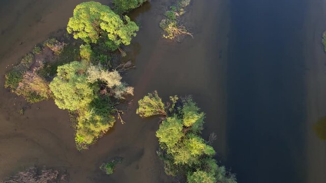 Delta Floresti and Somes river, a river, delta, lake, and wetland area. Natural environment near the Cluj-Napoca city