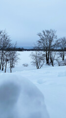 Winter landscape featuring snow-covered ground and bare trees under a cloudy sky, creating a serene and tranquil atmosphere in nature