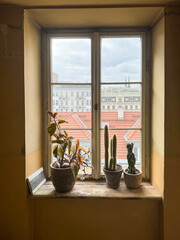 A cozy, yellow-walled window recess with potted plants, including a rubber plant and several tall cacti, offering a view of a city skyline with red tile rooftops under an overcast sky.