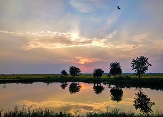 Sunset over a river creates a vivid reflection of the sky, featuring hues of orange and blue. Palm trees and a lone evergreen stand by the riverbank, mirrored in the calm water.