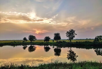 Sunset over a river creates a vivid reflection of the sky, featuring hues of orange and blue. Palm trees and a lone evergreen stand by the riverbank, mirrored in the calm water.