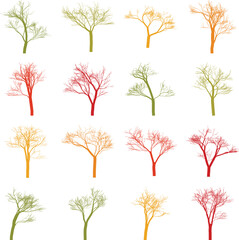 Colorful illustration of trees in different seasons nature and growth concept