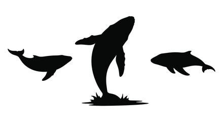 Three whales breaching and swimming in a dark silhouette style