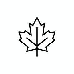 maple leaf icon