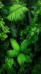 Lush green tropical jungle foliage with various plant leaves creating a vibrant natural landscape