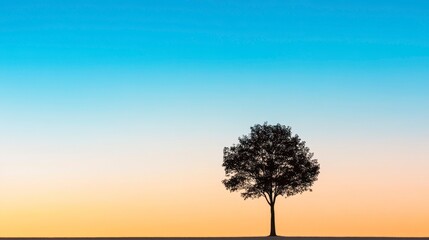 Solitary tree standing against a colorful sunset sky, symbolizing tranquility and nature's beauty