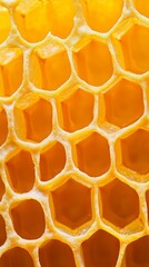 Close-up view of a vibrant honeycomb showcasing intricate hexagonal patterns and rich golden hues