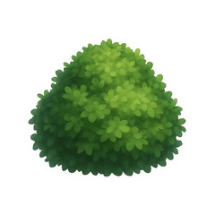 Lush green bush isolated on plain surface