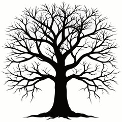 Obraz premium Silhouette of a large bare tree with intricate branches