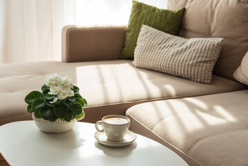 Cozy Living Room with Coffee and African Violet on Table