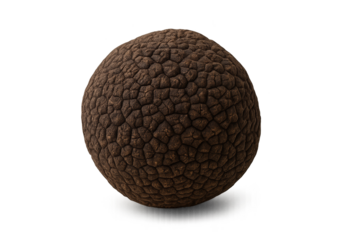 Dark, textured spherical truffle with rough, pebble-like surface