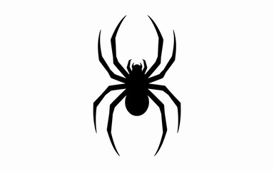 black widow spider