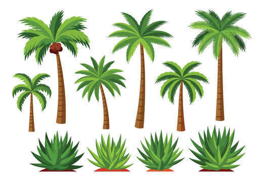 Collection of various palm trees and agave plants