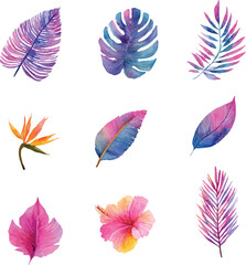 set of colorful feathers vector