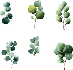 collection of green leaves