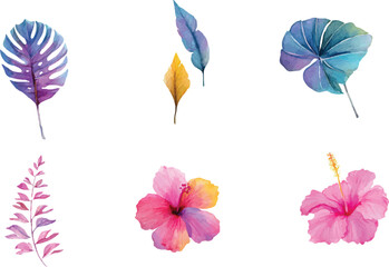 set of watercolor flowers