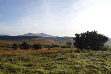 Obraz premium Morning nature view in sri lanka